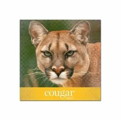 Brand new ⌛ Domtar Cougar Laser Papers Domtar Cougar Digital 10% Recycled 8.5" X 11" Paper, 70 Lbs., 98 Brightness, 500/Ream, 8 Reams/Carton (2826CASE) 😉