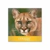 Deals ⭐ Cougar® Cover Paper Domtar Cougar Digital 10% Recycled 8.5" X 11" Paper, 80 Lbs., 98 Brightness, 250/Ream, 8 Reams/Carton (2986) 🛒