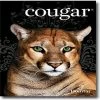 Buy ✨ Domtar Cougar Laser Papers Domtar Cougar® 11" X 17" 60 Lbs. Digital Smooth Laser Paper, White, 2500/Case 👍